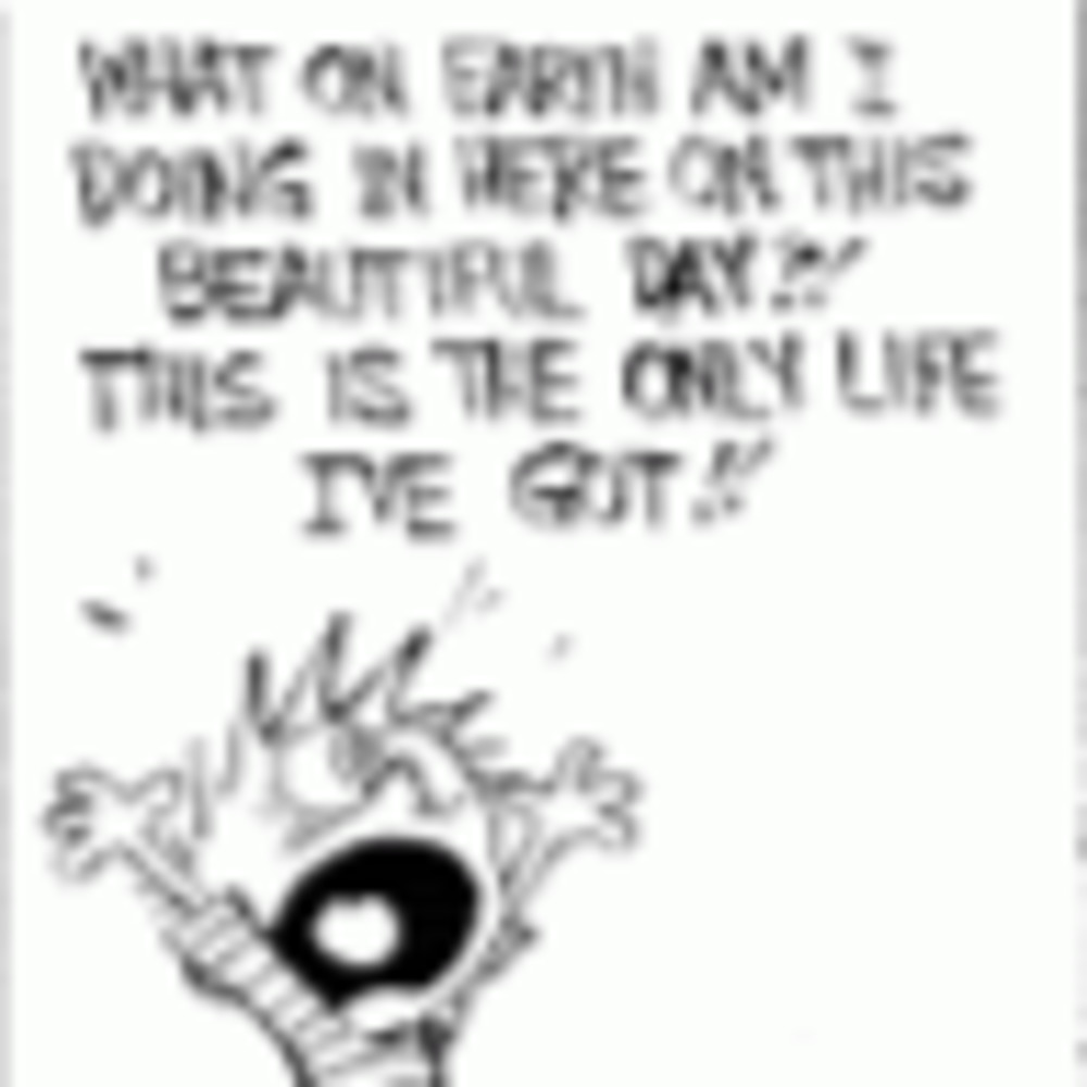 Meet your Posher, Robert